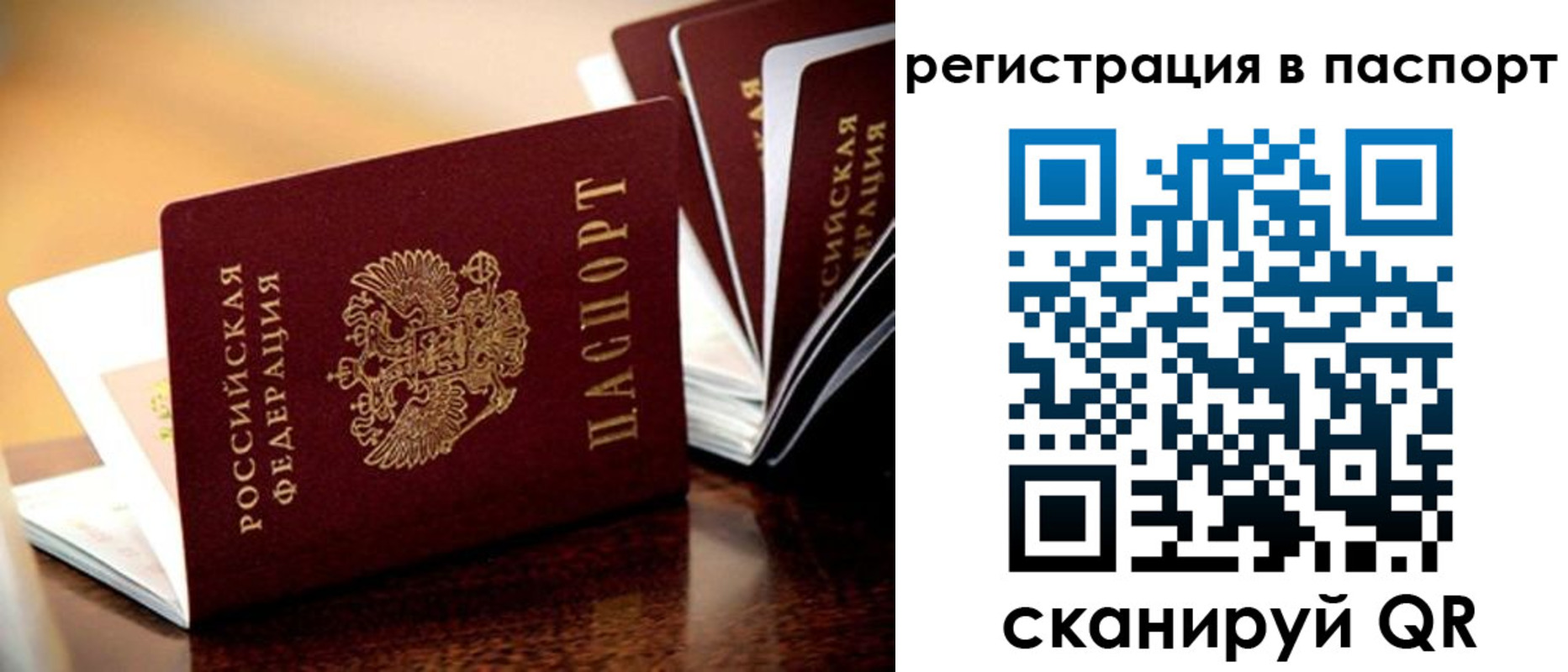 временная регистрация поиск в Магадане